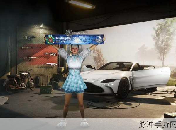绝地求生描边大师，枪火交织下的艺术之旅