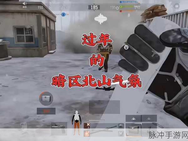 暗区突围新年全攻略，深度解析落人挑战与一点纠纷任务技巧