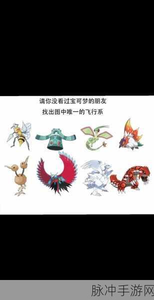 翱翔天际，拳拳相争——飞行加格斗属性宝可梦大揭秘