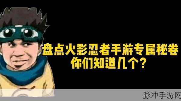 火影忍者手游新秘卷强度全解析，寻找你的专属战斗风格