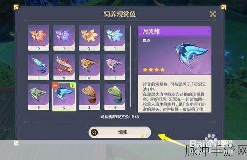 原神鳍的封印解除全攻略,解锁海祇之鳍的神秘力量