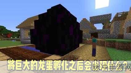 我的世界龙蛋孵化大揭秘,MOD真的是必需品吗?