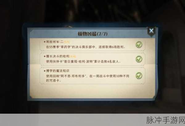 哈利波特魔法觉醒，PVP竞技场制胜秘籍大公开