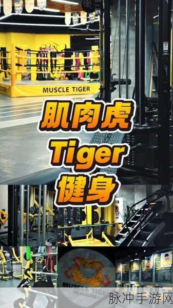 健身房发烧友，打造你的虚拟健身帝国