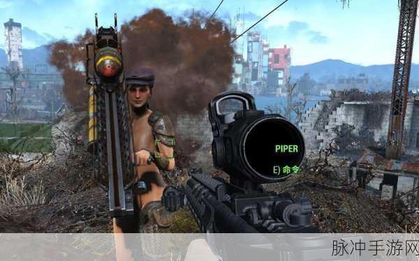 辐射4队友Perk深度剖析,寻找废土上的灵魂伴侣!