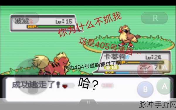口袋妖怪白金光，新手启程，探索无限可能的宝可梦奇遇！