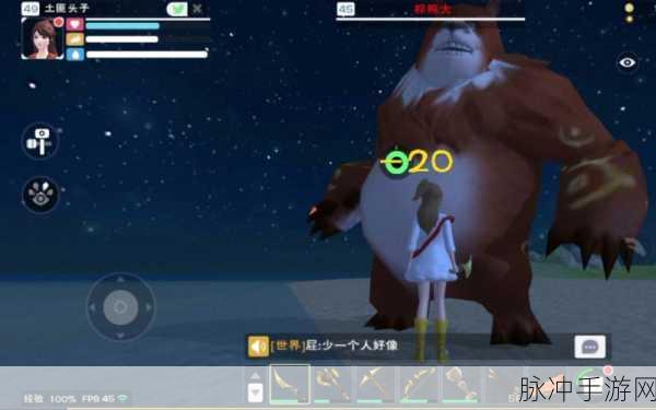 创造与魔法家园BOSS挑战，冷却时间揭秘与攻略分享