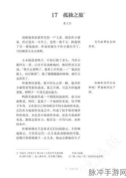 孤独之旅，心灵治愈——孤独的鸟儿最新版本全面解析