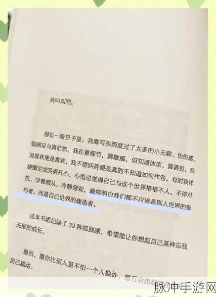 孤独之旅，心灵治愈——孤独的鸟儿最新版本全面解析