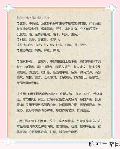 烟雨江湖，玄参的神奇功效与作用深度解析