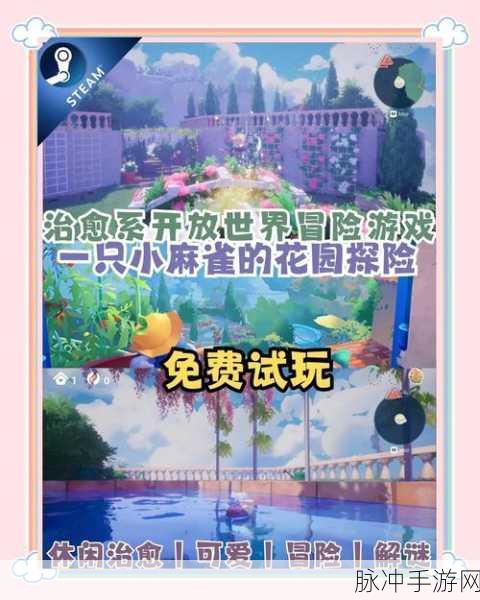 魔兽世界静心花园探险全攻略，解锁未知奇遇