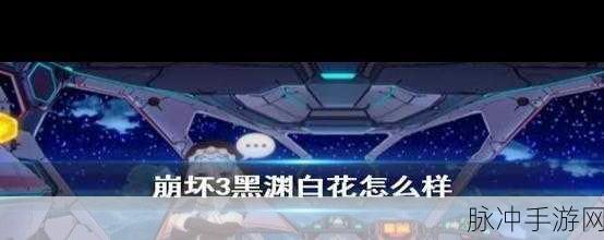 崩坏3黑渊白花，技能深度剖析与实战策略探讨