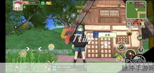 小森生活金枪鱼垂钓秘籍,解锁高效捕获技巧