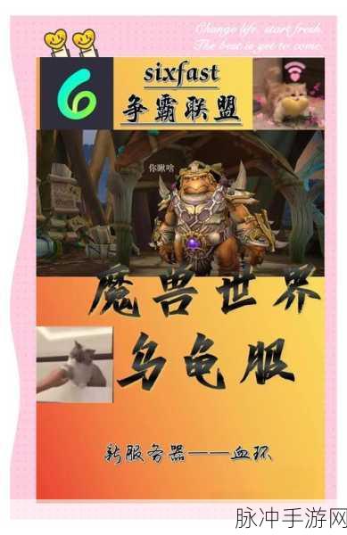 魔兽世界乌龟服新体验,告别繁琐频道,解锁游戏畅玩秘籍