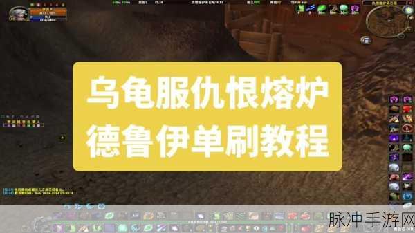 魔兽世界乌龟服新体验,告别繁琐频道,解锁游戏畅玩秘籍