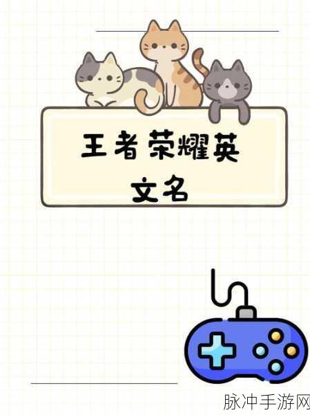 王者荣耀战队风采，英文缩写背后的荣耀征程