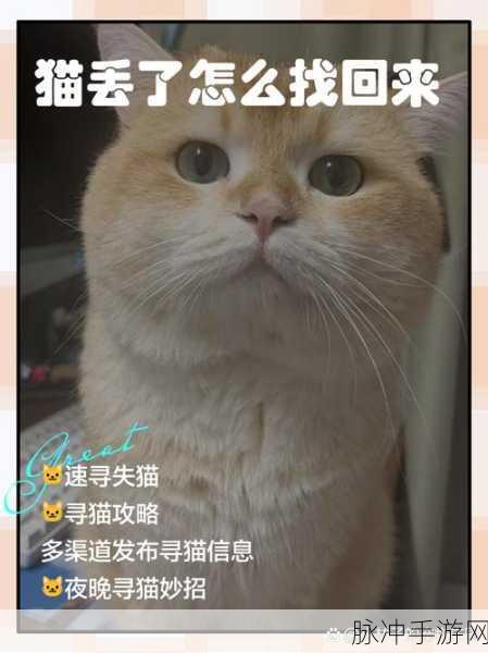 我的猫咪找不到了安卓版上线，解谜找猫乐趣多