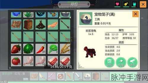 创造与魔法,揭秘顽皮熔岩饲料的制作秘籍