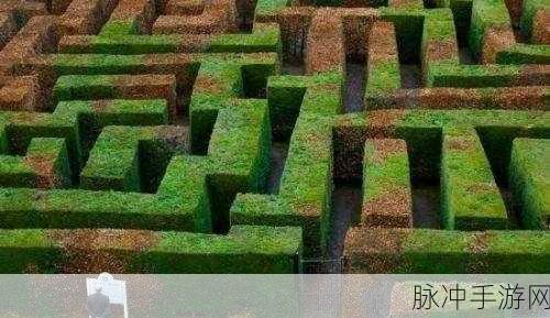 摄影师约瑟夫的时空迷宫,穿梭追捕的艺术与实战策略