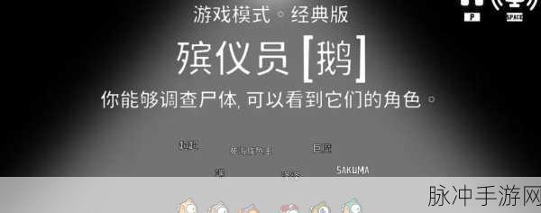 鹅鸭杀通灵鹅，揭秘幽灵数量查看与玩法攻略