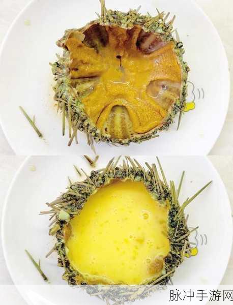幻塔手游美食奇遇,解锁海胆蒸蛋的绝妙做法