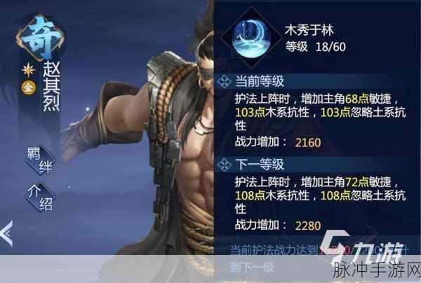 剑侠世界3武当护法深度攻略，解锁护法选择与培养新境界