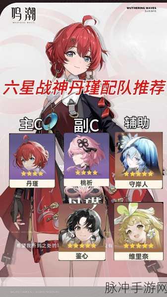 鸣潮丹瑾,全能战士的深度剖析与实战指南