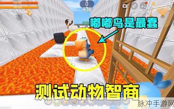 迷你世界宝可梦，揭秘渡渡鸟的饮食之谜