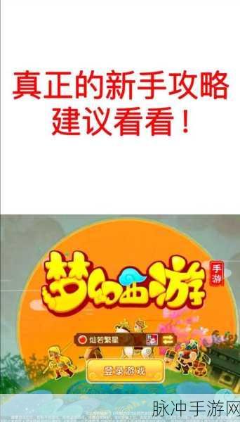 梦幻西游频繁掉线?玩家自救指南大揭秘!