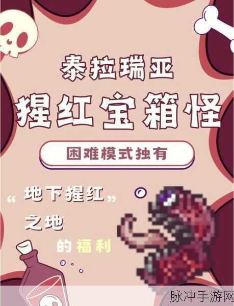 泰拉瑞亚，揭秘金币掉落最多的怪物