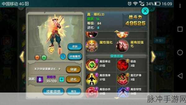 太极熊猫突破4，装备搭配全攻略