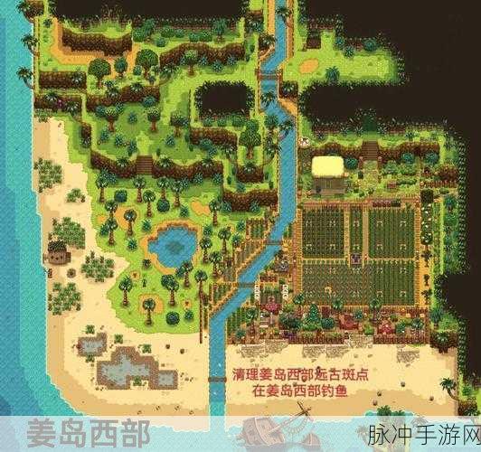 星露谷物语，揭秘骨头碎片获取与刷取地点