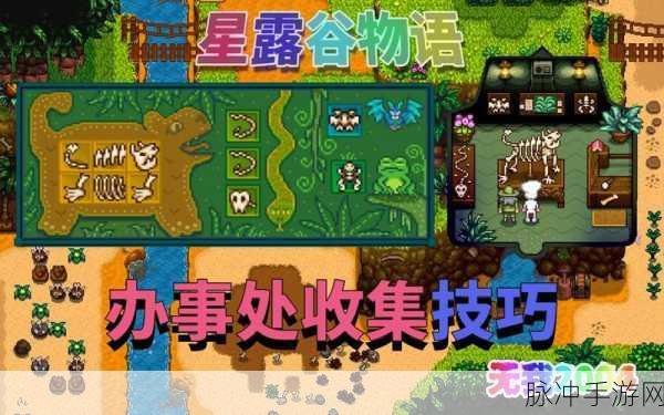 星露谷物语,揭秘骨头碎片获取与刷取地点