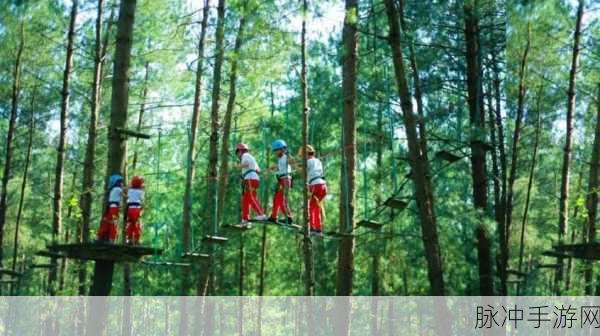 桃源秘境奇遇记,天池录探险之旅的深度揭秘