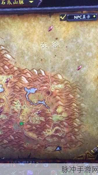 魔兽世界50级豹子捕捉全攻略，最佳地点与技巧揭秘