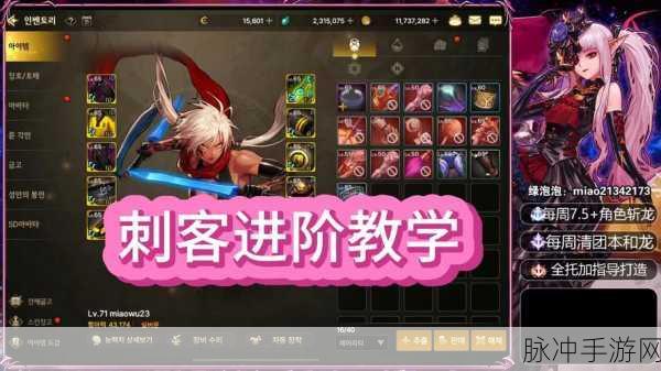 DNF刺客命运多舛，利刃之削下的深度剖析与玩家共鸣