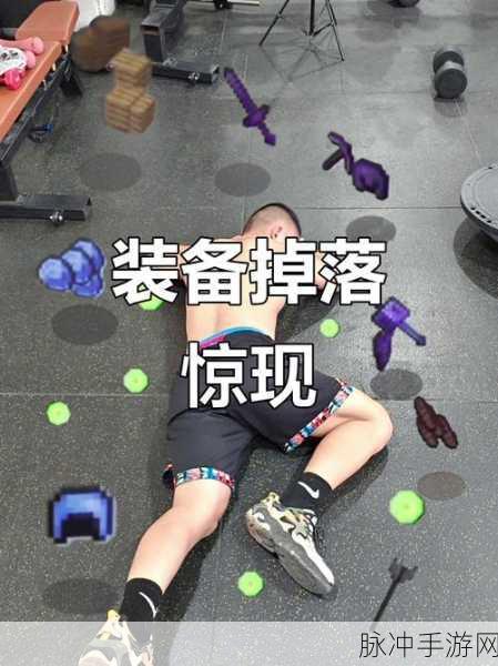 我的世界幻翼掉落物品大起底,揭秘幻影宝藏,开启全新游戏篇章