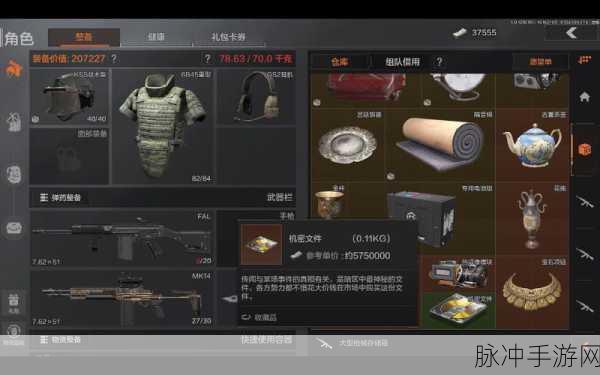 暗区突围,金色芯片使用全攻略与实战技巧揭秘