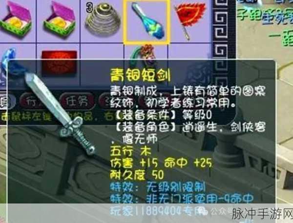 梦幻西游专用武器，解锁战斗新境界的深度探索