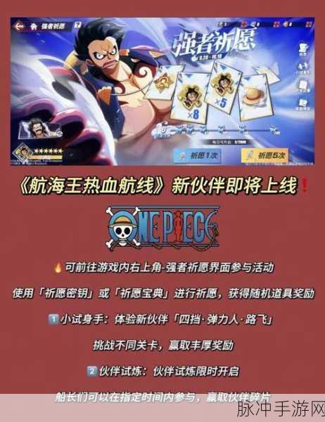 航海王热血航线路飞加点全攻略，技能提升与实战操作秘籍