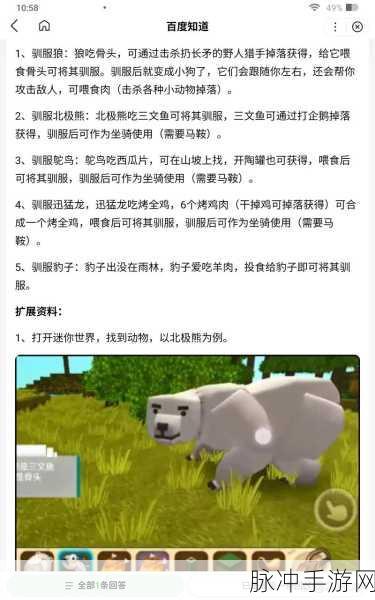迷你世界驯龙秘籍,解锁黑龙坐骑的奇幻之旅