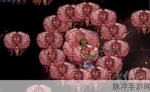 泰拉瑞亚树妖的吝啬之谜，翅膀背后的秘密交易