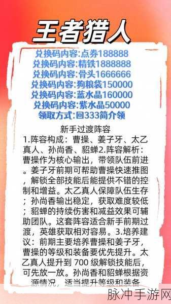 王者猎人玩具改造全攻略，让你的玩具战力飙升