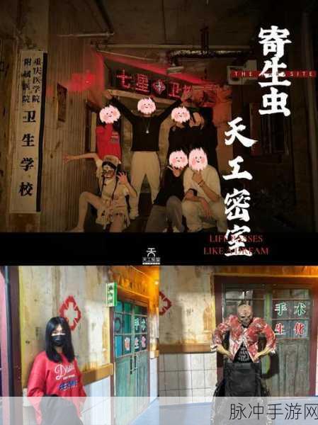 探索未知,挑战极限,体内寄生虫——一场解谜与冒险的奇妙之旅