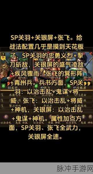 三国志战略版全SP武将深度剖析，解锁战场上的制胜密码
