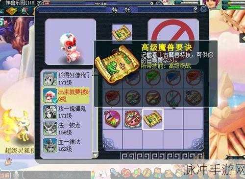 梦幻西游手游超级神猴，全能攻宠的深度剖析与实战秘籍