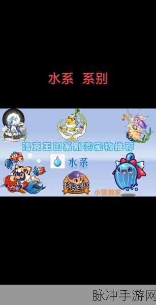 洛克王国深度探索，赛壬宠物技能全解析与实战策略