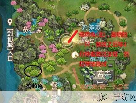 完美世界快速升级全攻略