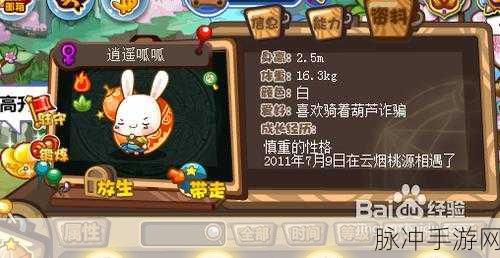 洛克王国迎宵呱呱,萌宠降临,欢乐无限