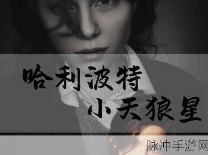 哈利波特魔法觉醒，小天狼星布莱克回响全解析